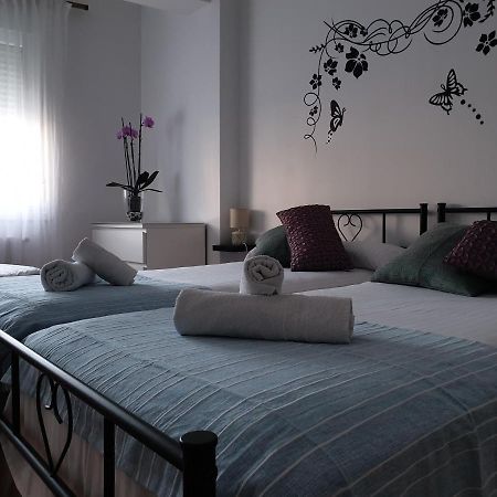 Rua Dos Concheiros, 7 Apartamento ซานติอาโก เด กอมโปสเตลา ภายนอก รูปภาพ